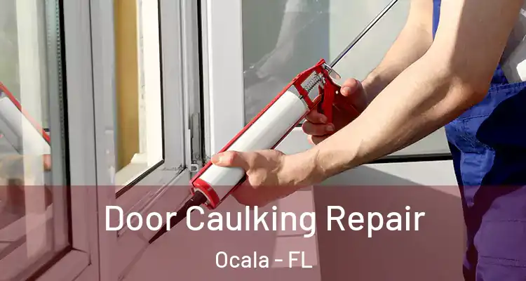  Door Caulking Repair Ocala - FL