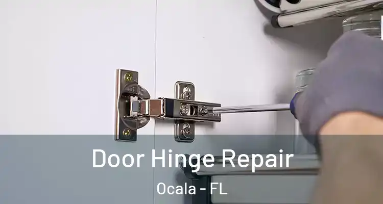  Door Hinge Repair Ocala - FL