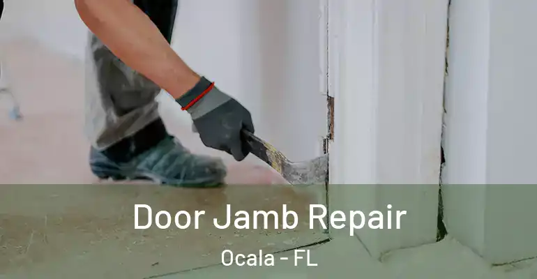  Door Jamb Repair Ocala - FL