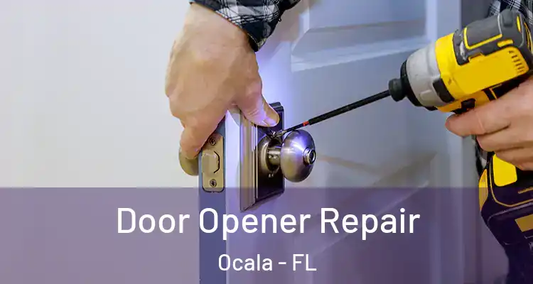  Door Opener Repair Ocala - FL
