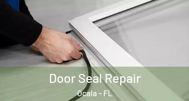  Door Seal Repair Ocala - FL