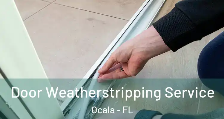  Door Weatherstripping Service Ocala - FL