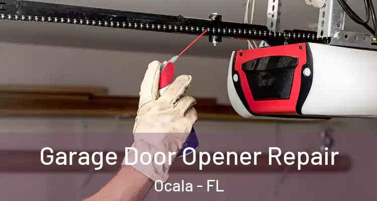  Garage Door Opener Repair Ocala - FL
