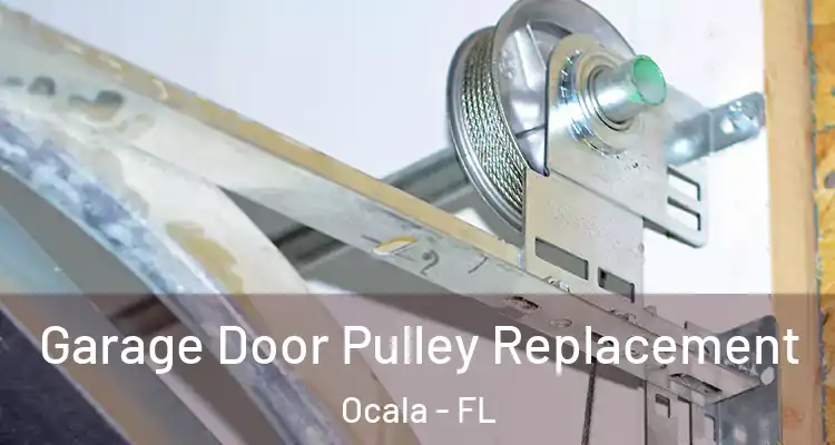  Garage Door Pulley Replacement Ocala - FL