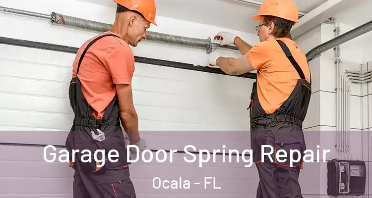  Garage Door Spring Repair Ocala - FL