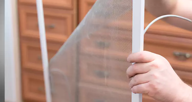 Privacy Mesh Screen Door Installation in Ocala, FL