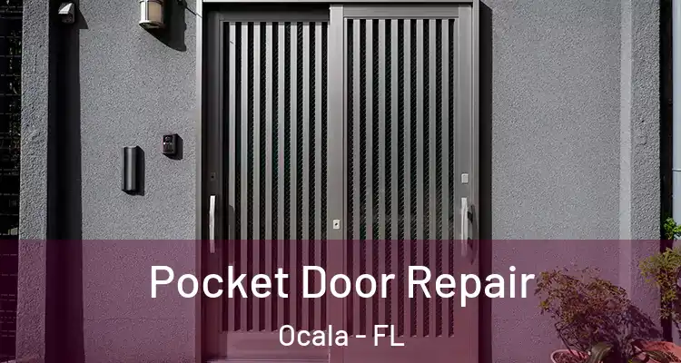  Pocket Door Repair Ocala - FL