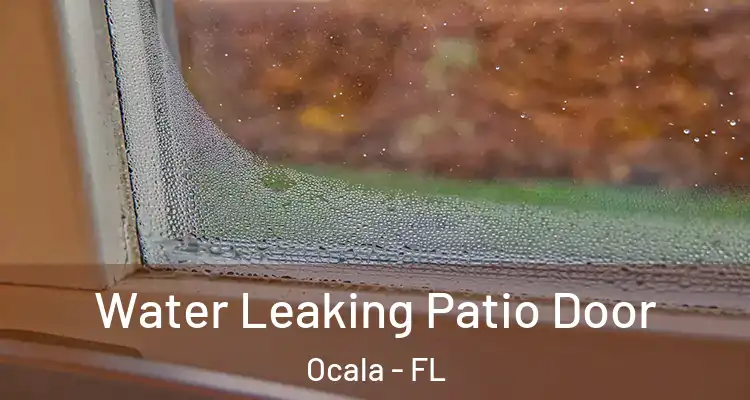  Water Leaking Patio Door Ocala - FL